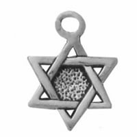 Sterling srebrna 7 šarm narukvica sa priloženom mini židovskom zvijezdom Davida Jevrejskog šarma