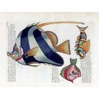 Renard, Louis Crni moderni uokvireni muzej Art Print pod nazivom - De Groote Tafel-visch