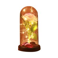Ornament Ball Božićne kuglice Veliki poklon za valentinu Rose cvjetni stakleni poklopac LED kućni ukras