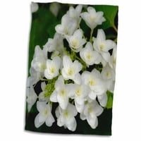 3drose prekrasno bijelo cvijeće u hidrongea porodici - ručnik, po