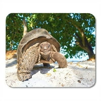 Plaža Shuming Turtle Seychelles Giant Tortoise WildLife Island Miusepad jastučić za miš miš Mouse