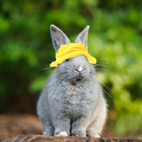 Mini kućni ljubimac Bunny šešir malih životinja Hat Mini kućni ljubimac Poklopac kostimova kućnog ljubimca