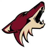 Phoeni Coyotes Wallmar Hockey Wall Accent Set