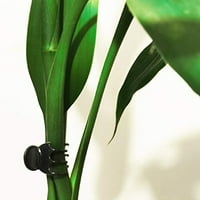 Lierteer Phalaenopsis orhidejni vrtni klip za pričvršćivanje vinove loze plastični zakupljanje