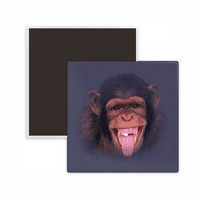 Orangutans se nasmiju ljudski kosu kvadrac frižider magnet zadržava memento