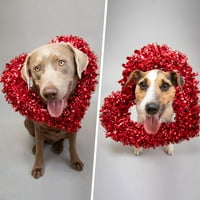 Heiheiup u vijencu za srčani okvir Okvir DIY metalna žica u obliku srca Valentinovo ukrašavanje valentinova i viseći adventske vijence
