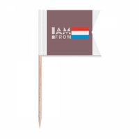 Am iz Luksemburga Art Deco modni zub za zastave za zastave Označavanje za zabavu za tortu hranu