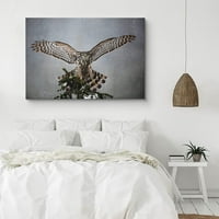 PIXONSIGN uokvirena zidna umjetnost Owl Owl zemlje na šumskim životinje Divlje životinje Fotografija Realizam Rustikalni pejzažni dramatični multikolor cool za dnevni boravak, spavaću sobu, ured - 12 x18