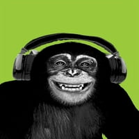 Šimpanzee slušalice Laminirani plakat