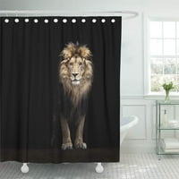 Zvijer portret prekrasnog lava u tamnom mužnom tuš zavjesu
