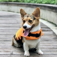 Začinjena jakna s morskim psom pasa ljetna plivanja prsluk sigurnosna odjeća za pse za pse za francuski