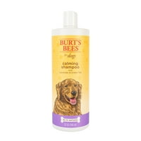Burts Bees smirivanje pasjskog šampona