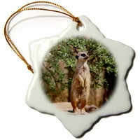 3drose slika divljeg meerkatske životinje - snežni ukras