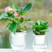 Betterz Flowerpot Samo zalijevanje praktične plastične prozirne biljne lonce za dom