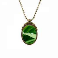 Zelena slika Priroda antikne ogrlice Vintage perla Privjesak za privjesak