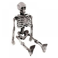 Jolly skelet Human Model Skull Cijeli tjelesni mini figura TOY HALLYEN-HALLOWEEN cijelo tijelo skelet s realnim ljudskim kostima za ukras za Noć vještica, 5.9 *