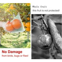 Najlonska mreža za vreće za ptice-otporna na torba zmajeva voćna torba grožđe voće torba bez insekata