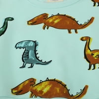 Capreze toddler crtana dukserica Slatka dinosaur tiskana tunika TOP IGRAJTE Pulover životinjski ispis Dukseri 3128 # 3t
