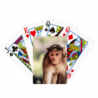Monkey Animal Poker igrati čarobnu karticu za zabavu