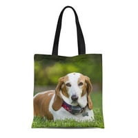 Platno torba smeđi pas Basset Basset Hound Pas zeleni ovratnici uši očiju trajne za višekratne kupovine na ramenci